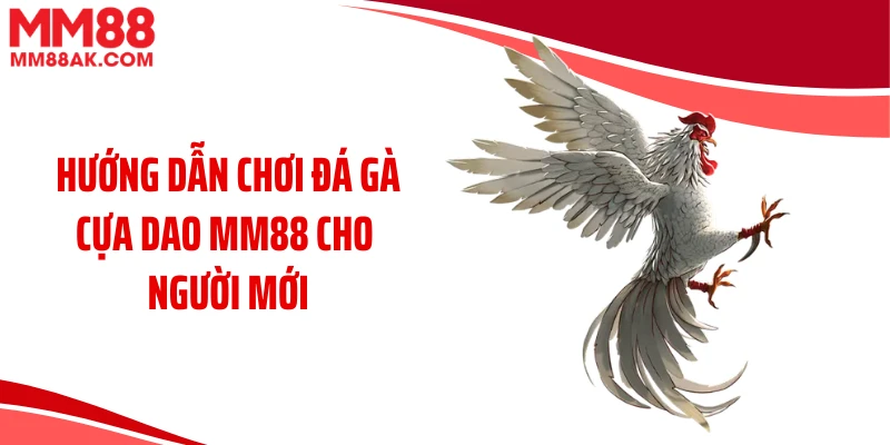 Hướng dẫn chơi đá gà cựa dao MM88 cho người mới