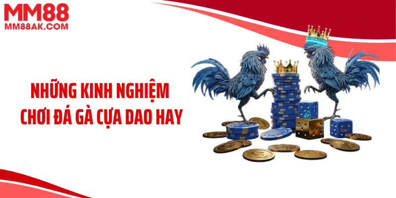 Những kinh nghiệm chơi đá gà cựa dao hay